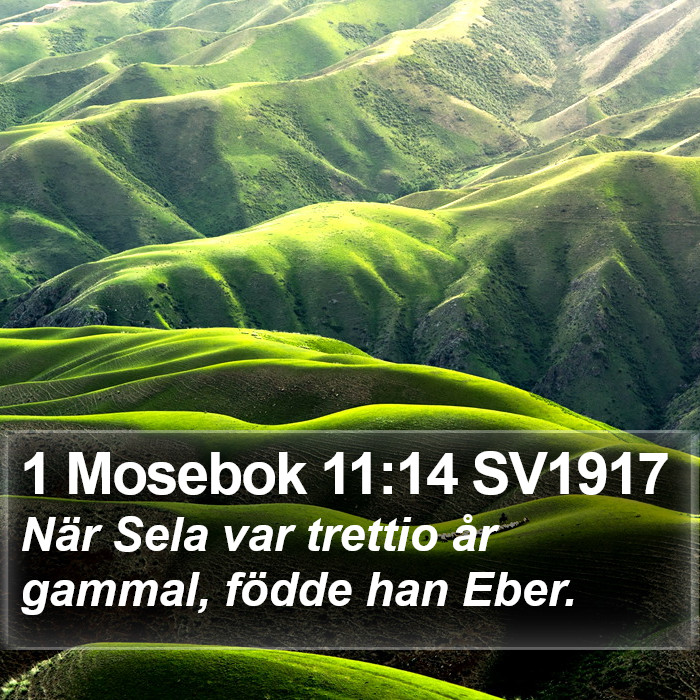 1 Mosebok 11:14 SV1917 Bible Study