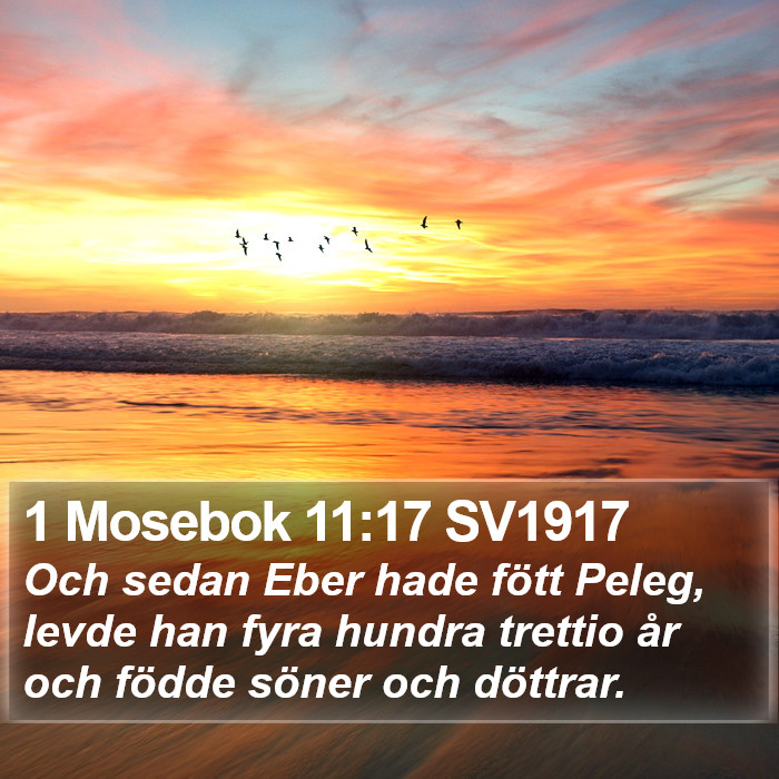1 Mosebok 11:17 SV1917 Bible Study