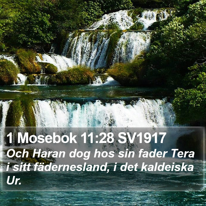 1 Mosebok 11:28 SV1917 Bible Study