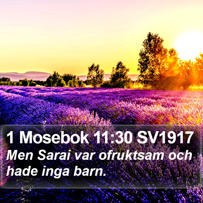 1 Mosebok 11:30 SV1917 Bible Study
