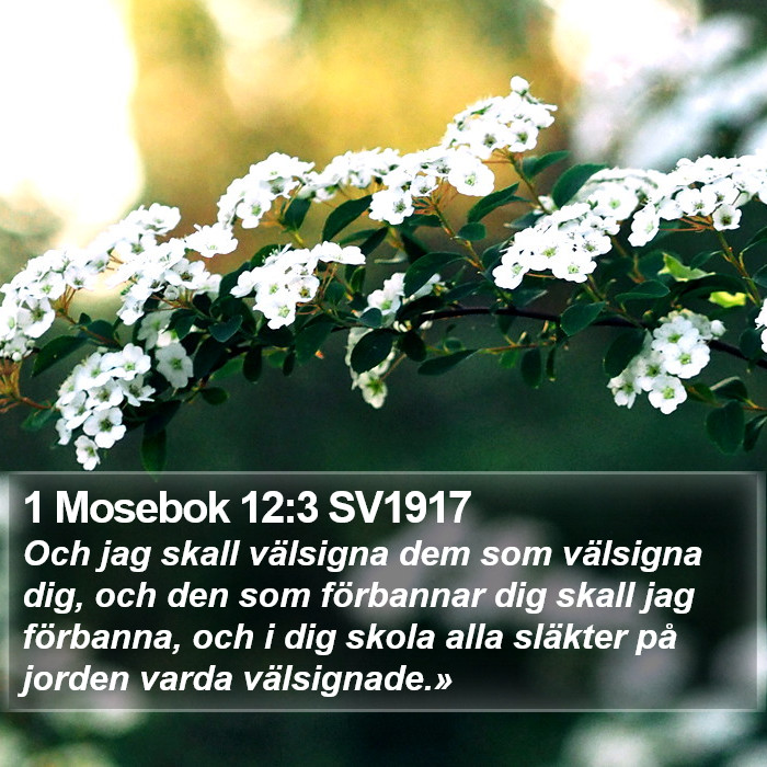 1 Mosebok 12:3 SV1917 Bible Study