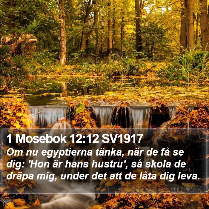 1 Mosebok 12:12 SV1917 Bible Study