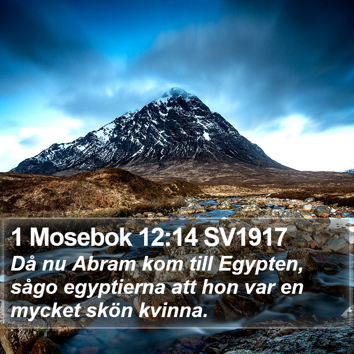 1 Mosebok 12:14 SV1917 Bible Study