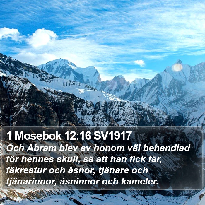 1 Mosebok 12:16 SV1917 Bible Study