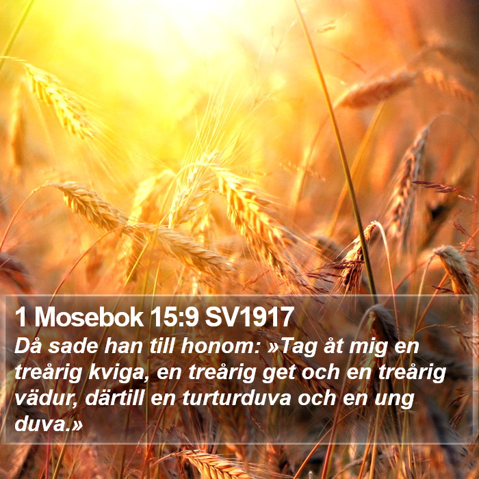 1 Mosebok 15:9 SV1917 Bible Study