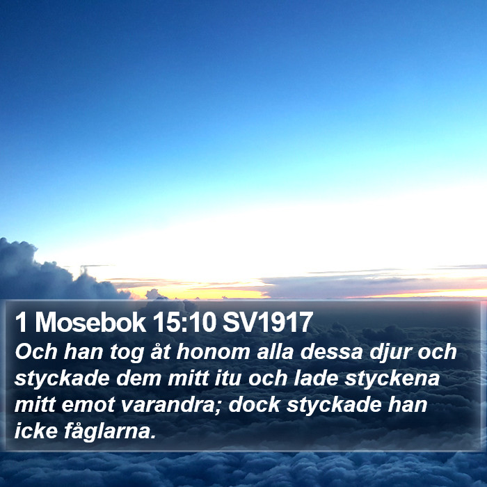 1 Mosebok 15:10 SV1917 Bible Study