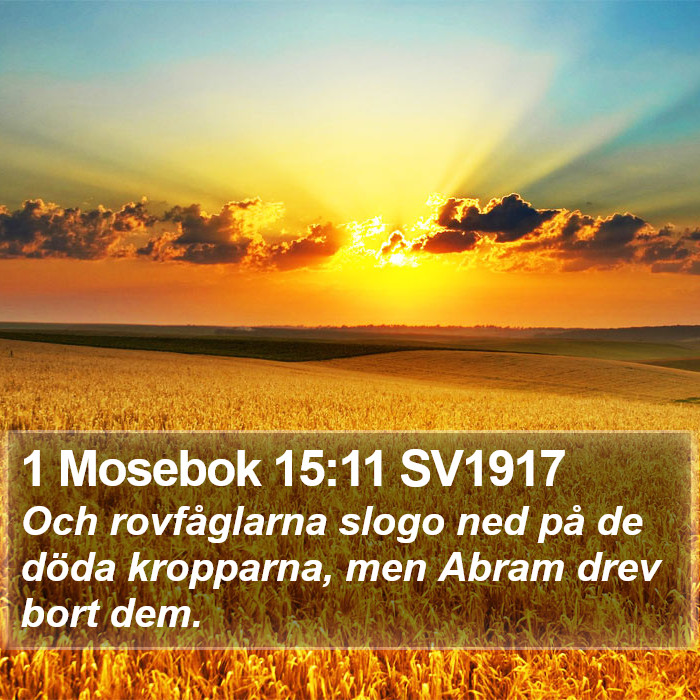 1 Mosebok 15:11 SV1917 Bible Study