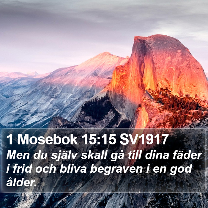 1 Mosebok 15:15 SV1917 Bible Study
