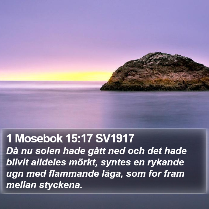 1 Mosebok 15:17 SV1917 Bible Study