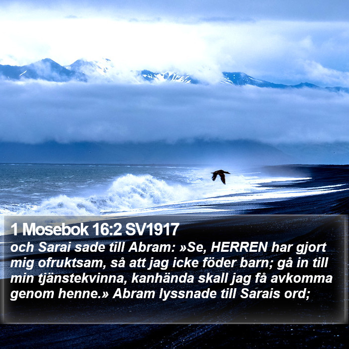 1 Mosebok 16:2 SV1917 Bible Study