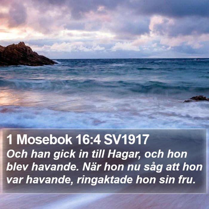 1 Mosebok 16:4 SV1917 Bible Study