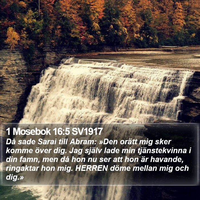 1 Mosebok 16:5 SV1917 Bible Study