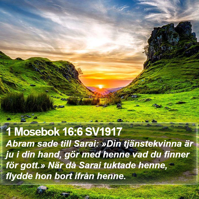 1 Mosebok 16:6 SV1917 Bible Study