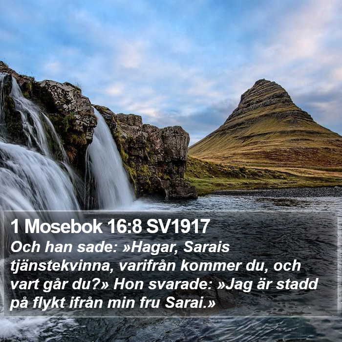 1 Mosebok 16:8 SV1917 Bible Study