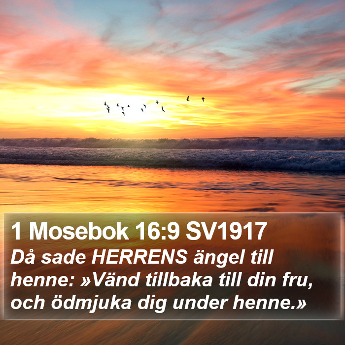 1 Mosebok 16:9 SV1917 Bible Study