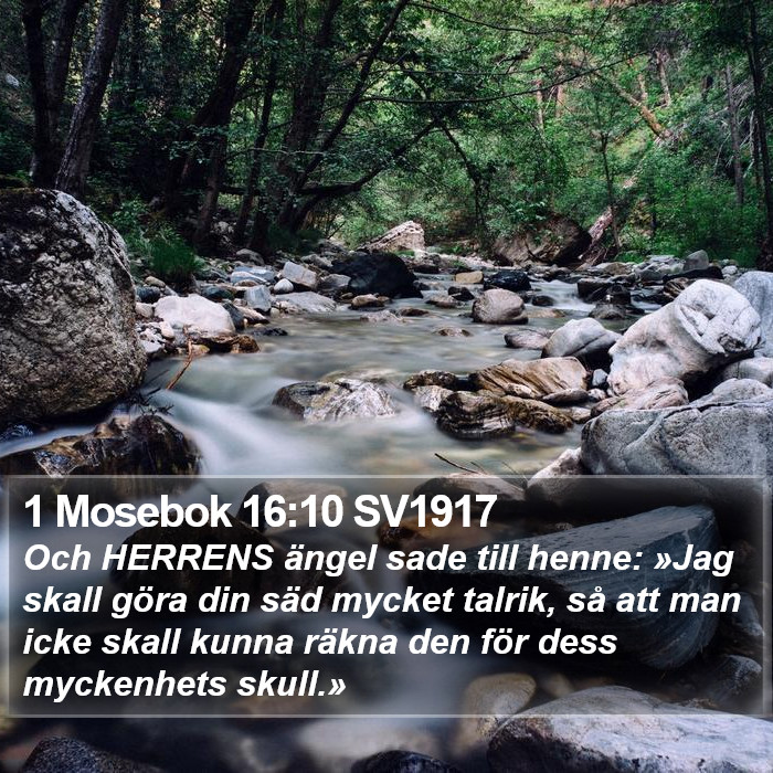 1 Mosebok 16:10 SV1917 Bible Study