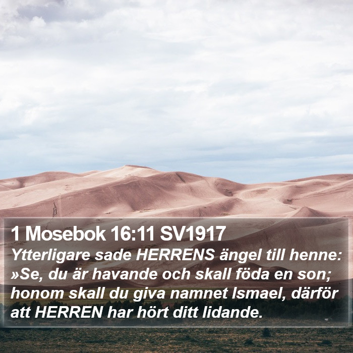 1 Mosebok 16:11 SV1917 Bible Study