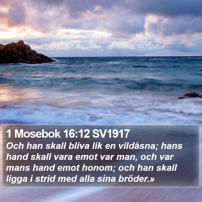 1 Mosebok 16:12 SV1917 Bible Study