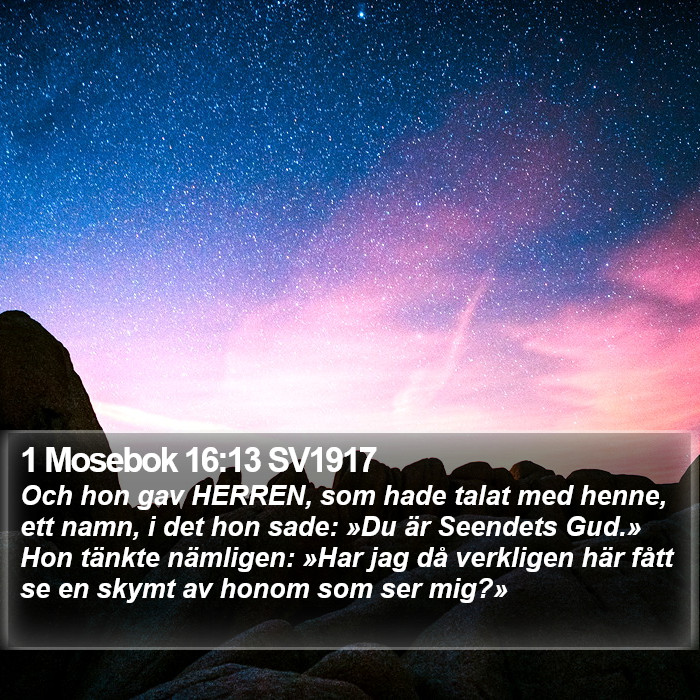 1 Mosebok 16:13 SV1917 Bible Study