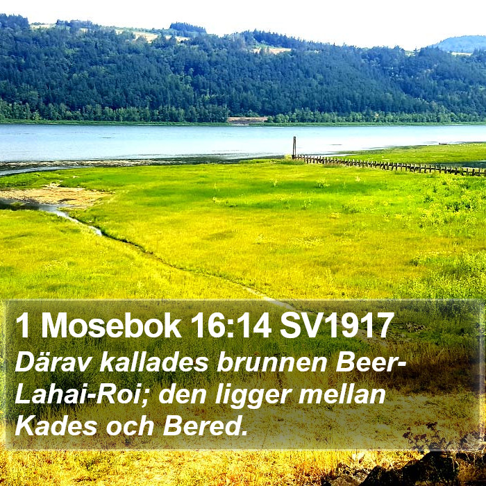 1 Mosebok 16:14 SV1917 Bible Study