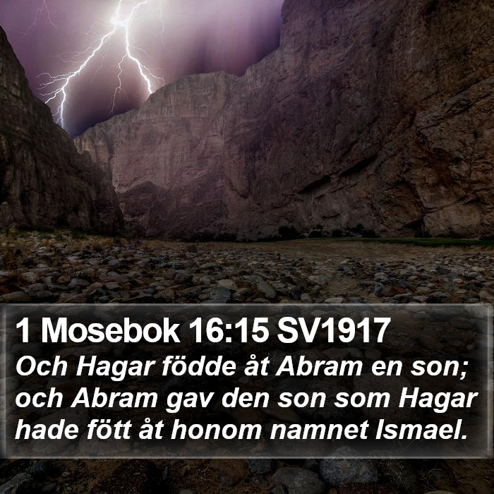 1 Mosebok 16:15 SV1917 Bible Study