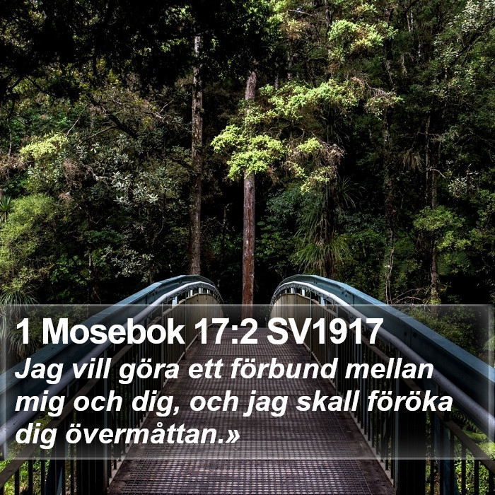 1 Mosebok 17:2 SV1917 Bible Study