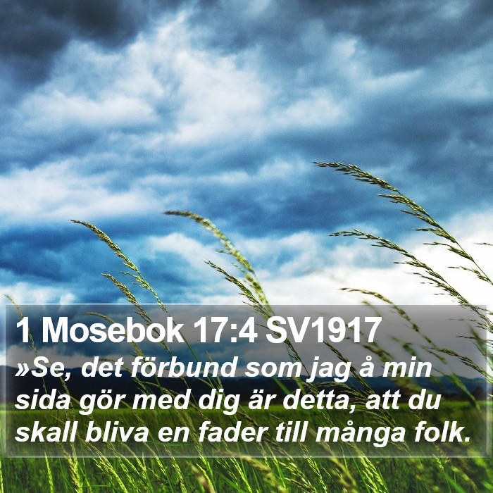 1 Mosebok 17:4 SV1917 Bible Study