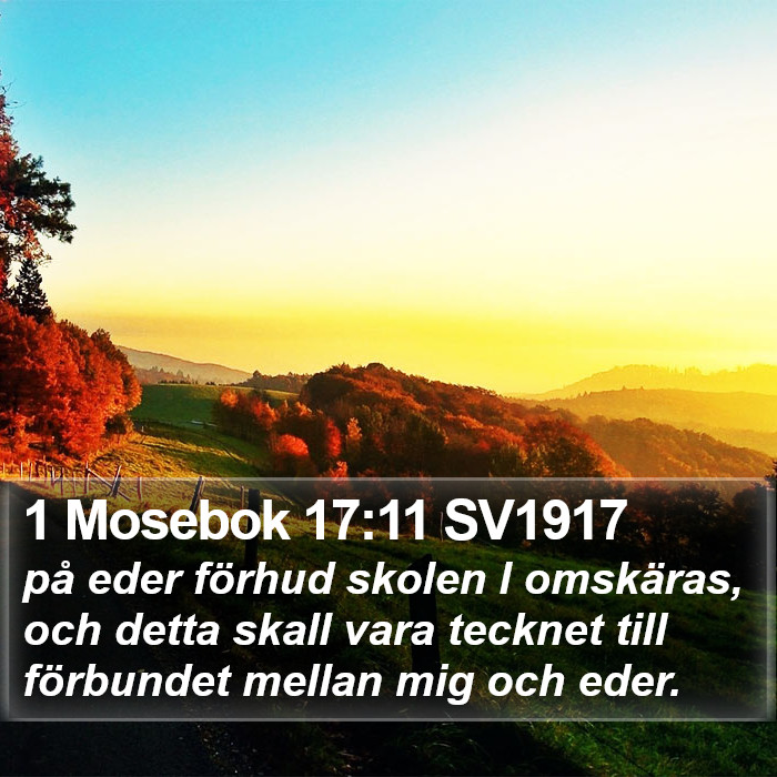 1 Mosebok 17:11 SV1917 Bible Study
