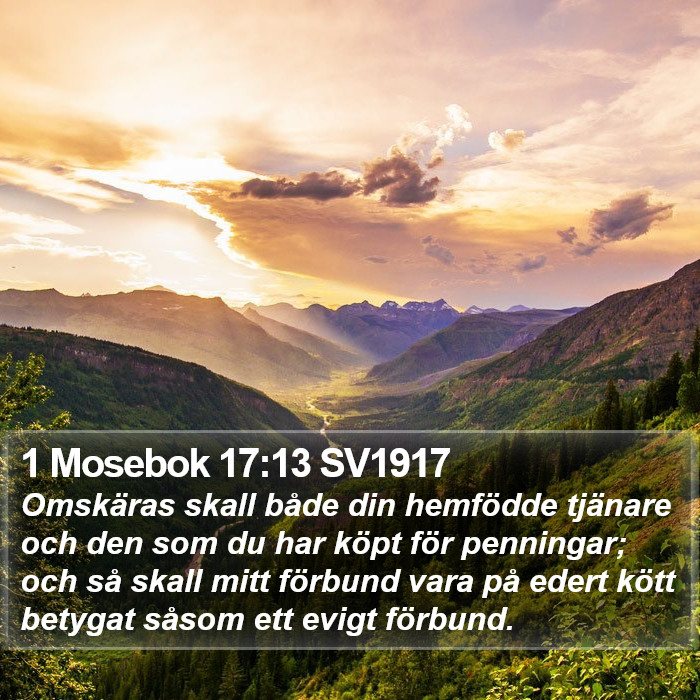 1 Mosebok 17:13 SV1917 Bible Study