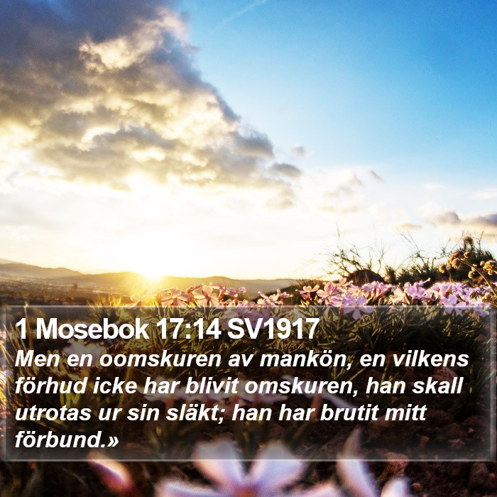1 Mosebok 17:14 SV1917 Bible Study