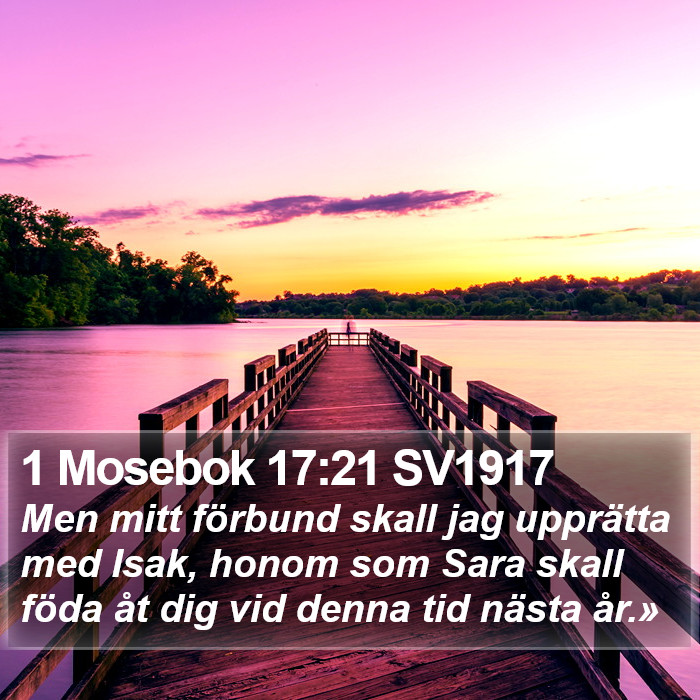 1 Mosebok 17:21 SV1917 Bible Study