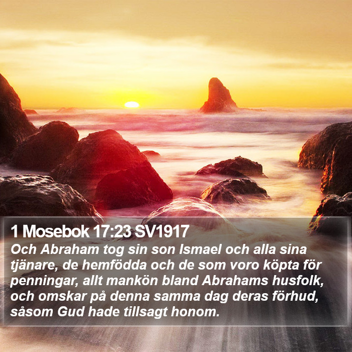 1 Mosebok 17:23 SV1917 Bible Study