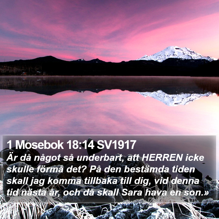 1 Mosebok 18:14 SV1917 Bible Study