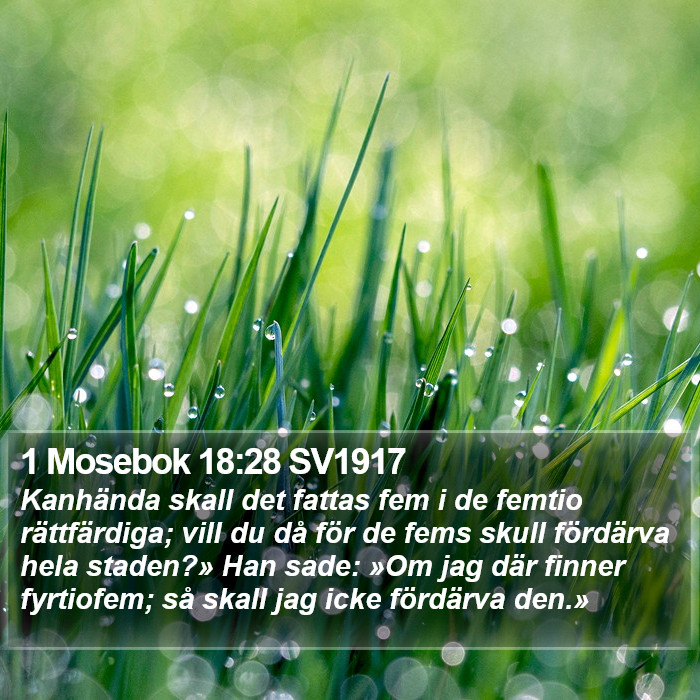 1 Mosebok 18:28 SV1917 Bible Study
