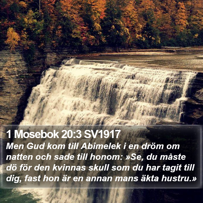 1 Mosebok 20:3 SV1917 Bible Study
