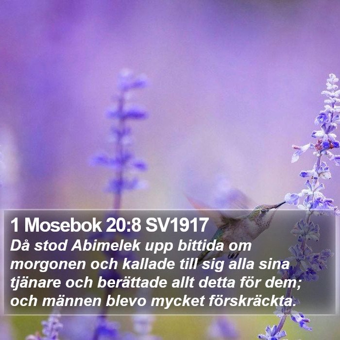 1 Mosebok 20:8 SV1917 Bible Study