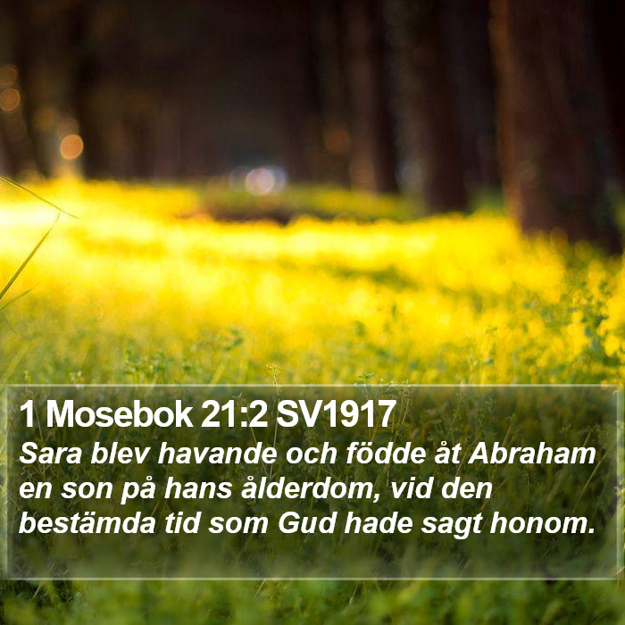1 Mosebok 21:2 SV1917 Bible Study