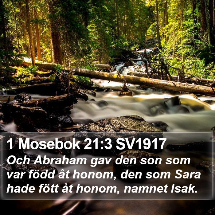 1 Mosebok 21:3 SV1917 Bible Study