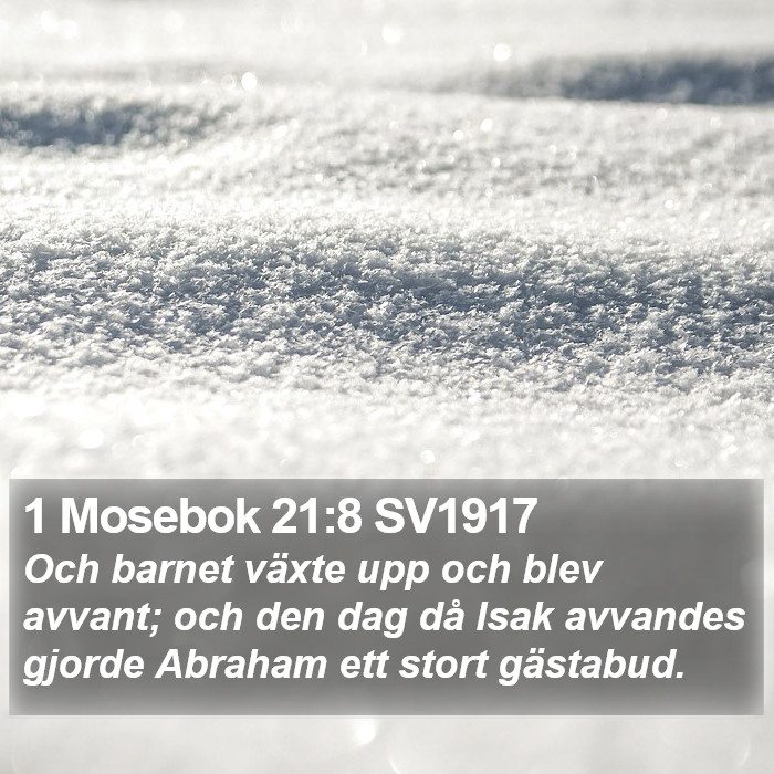 1 Mosebok 21:8 SV1917 Bible Study