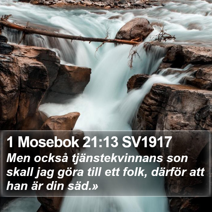 1 Mosebok 21:13 SV1917 Bible Study