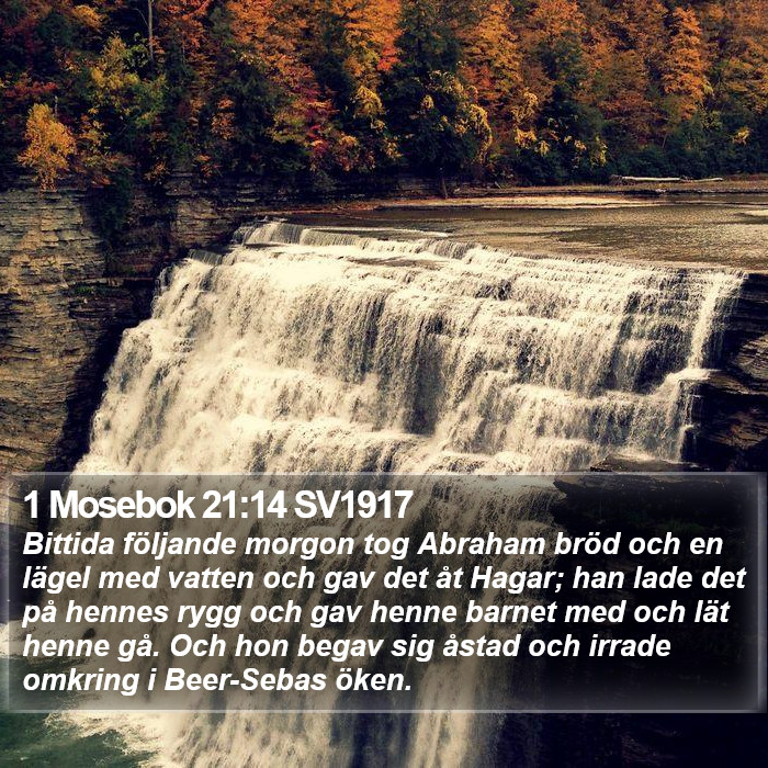 1 Mosebok 21:14 SV1917 Bible Study