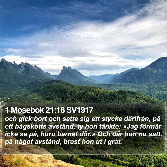 1 Mosebok 21:16 SV1917 Bible Study