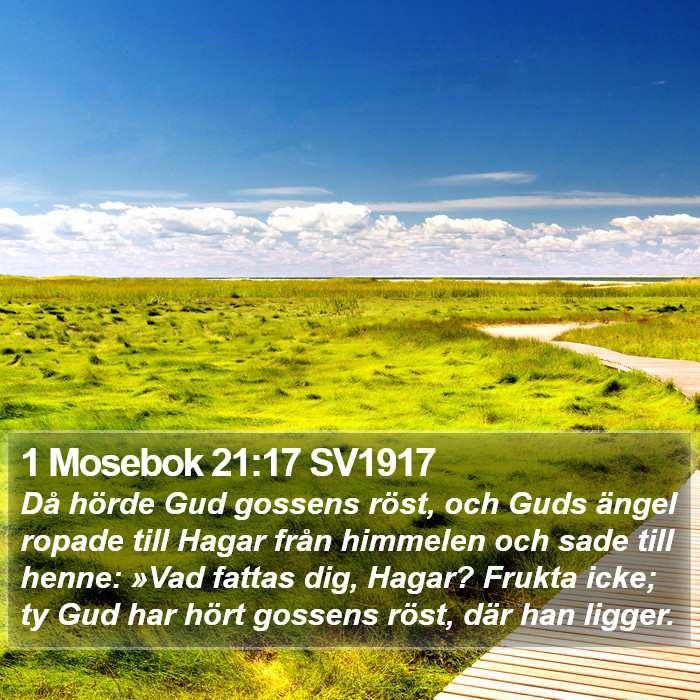 1 Mosebok 21:17 SV1917 Bible Study