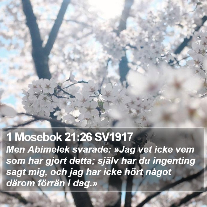 1 Mosebok 21:26 SV1917 Bible Study