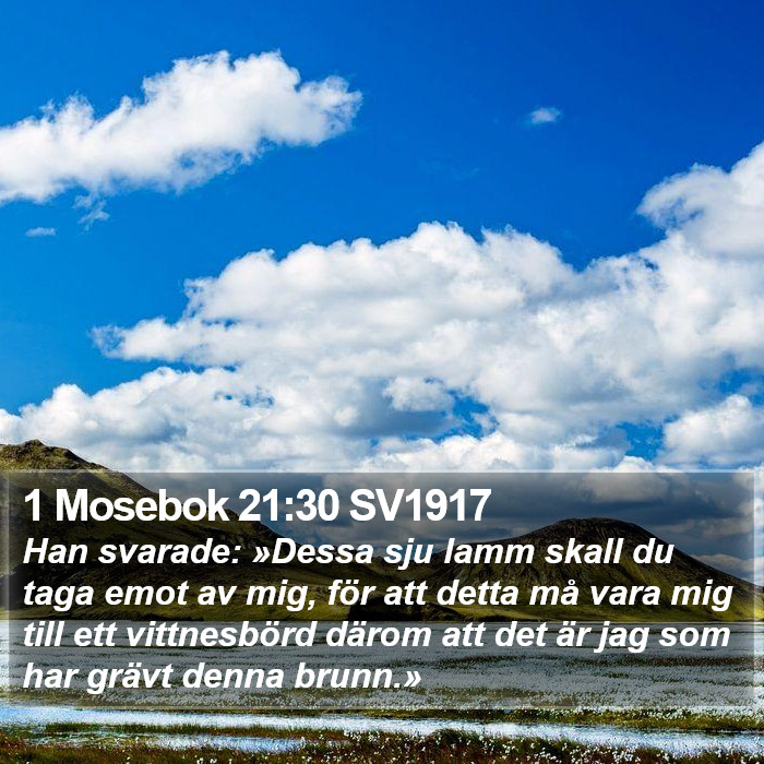 1 Mosebok 21:30 SV1917 Bible Study