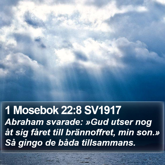 1 Mosebok 22:8 SV1917 Bible Study