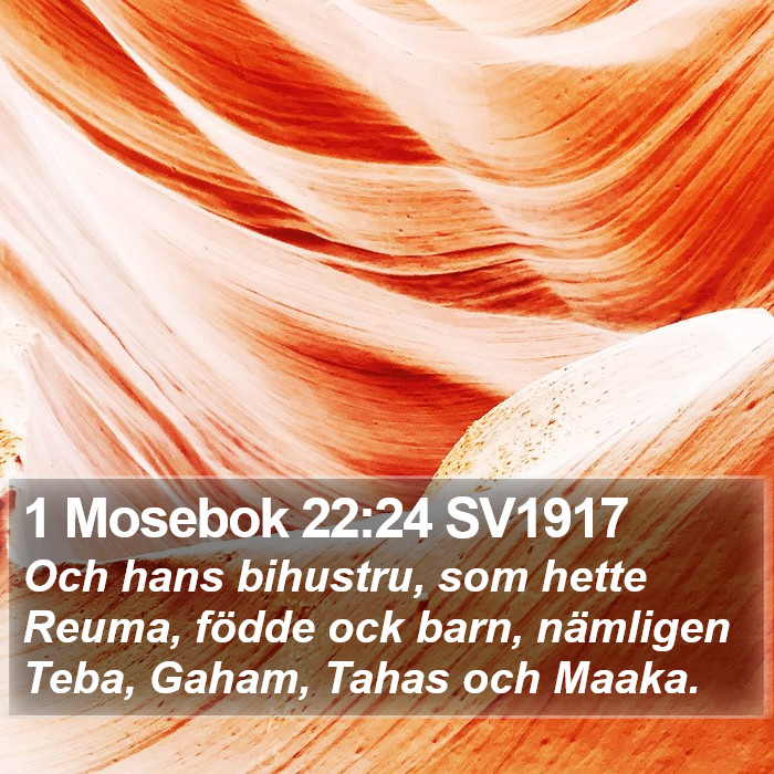 1 Mosebok 22:24 SV1917 Bible Study