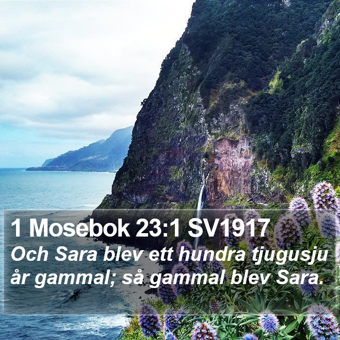 1 Mosebok 23:1 SV1917 Bible Study