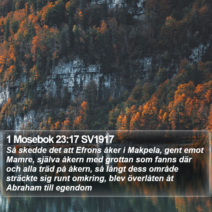 1 Mosebok 23:17 SV1917 Bible Study