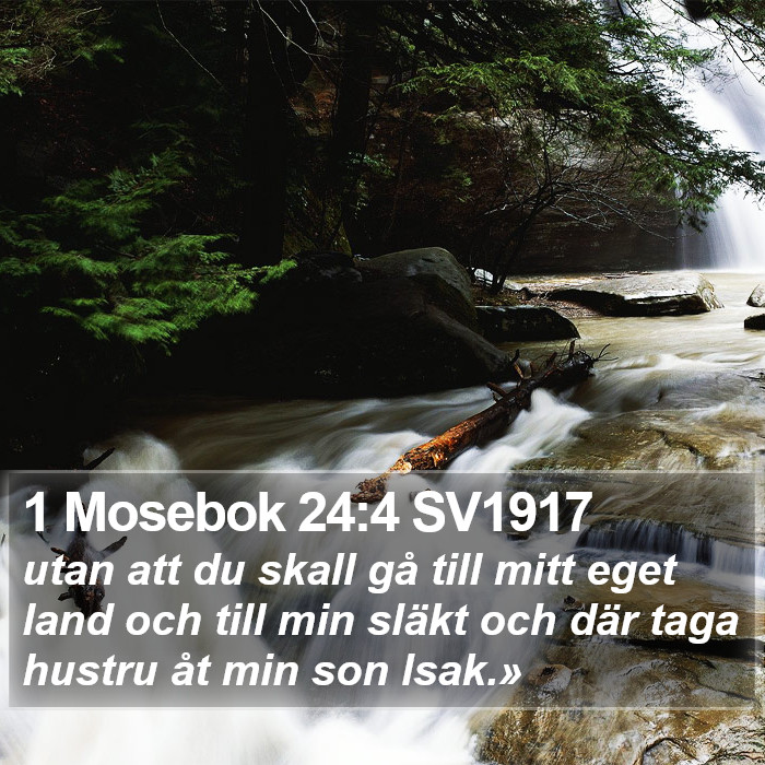 1 Mosebok 24:4 SV1917 Bible Study